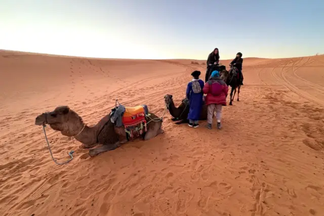 Camellos descansando junto a un campamento en las dunas de Merzouga al amanecer